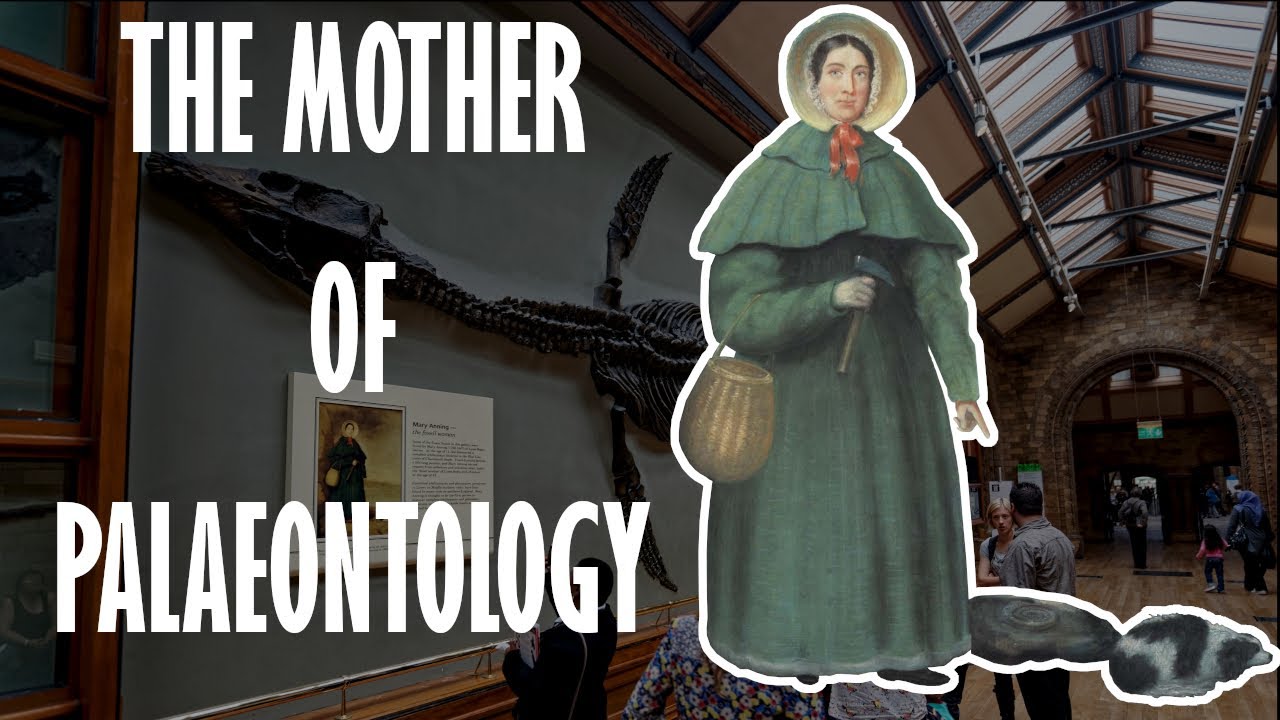 Mary Anning | Her unfair life and contributions to paleontology