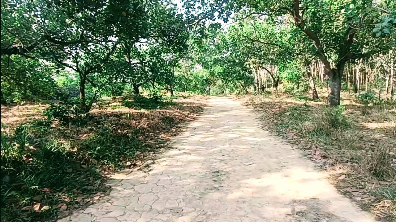 Bán vườn giá rẻ nhất xã.dt 3,4 héc ta,250m đường đất, cách đường nhựa 600m, ô tô tới nơi.