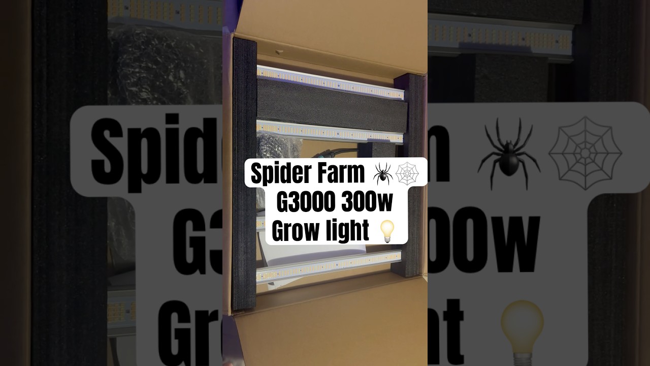 Spider Farm G3000 300w Full spectrum grow light #ledgrowlights #indoorgardening #shorts