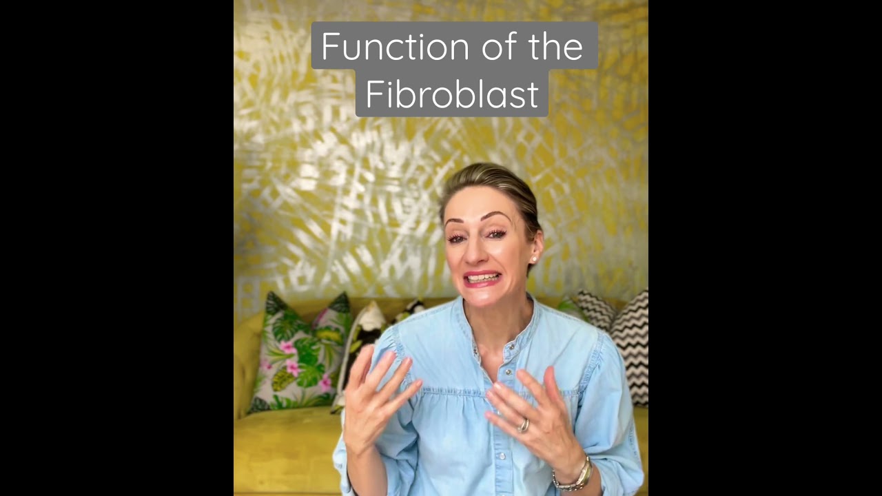 Function of the Fibroblast  