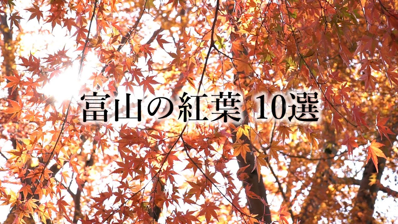 紅葉の名所　富山県内１０選