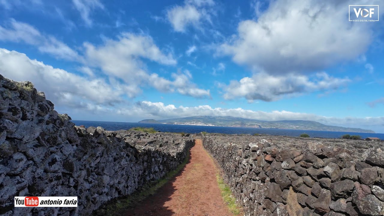 Imagens Sábado de manhã, Criação Velha na Ilha do Pico Açores