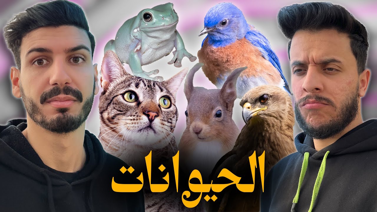 ماتأمنش عقلك 14 | الحيوانات