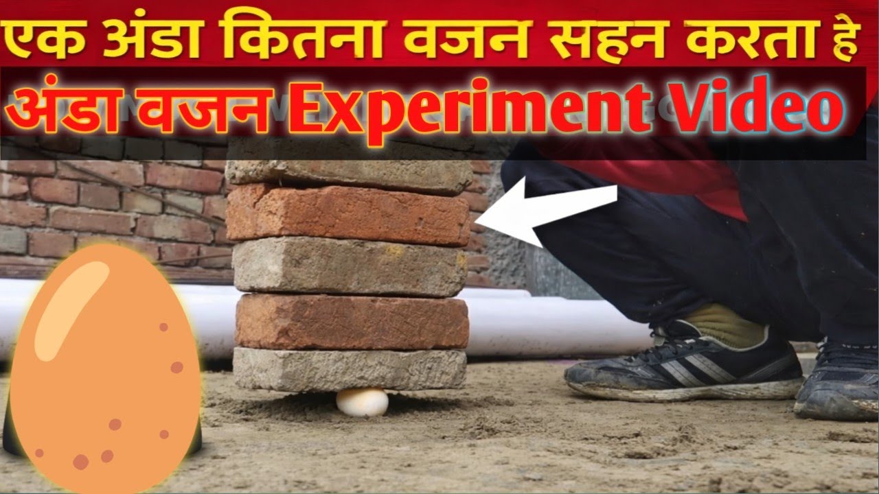 Egg 🥚 vate Experiment . एक अंडा कितना वजन सहन कर सकता है #mrvimal000