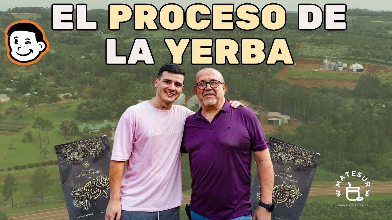 Como es el proceso de la yerba? - Matesur - Elchicodelmate