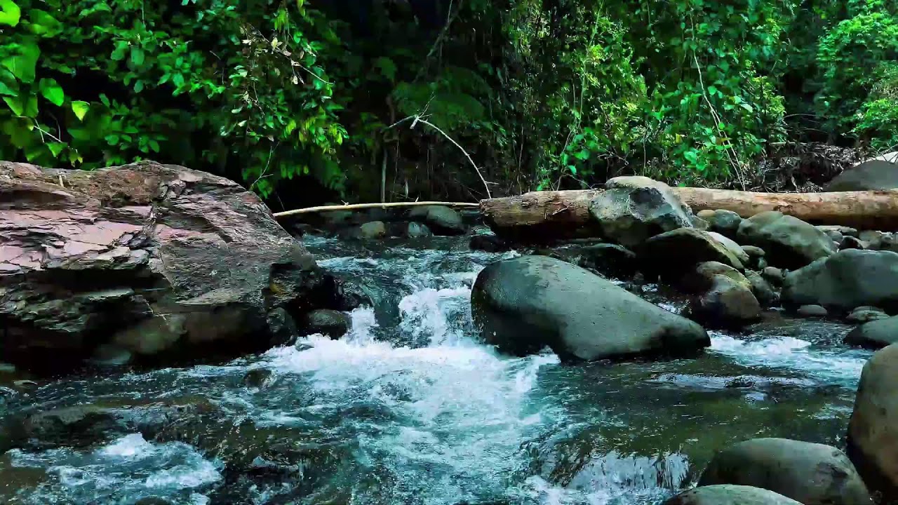 Rushing Jungle River Over Stones – Nature Sounds for Deep Sleep, Focus & Stress Relief