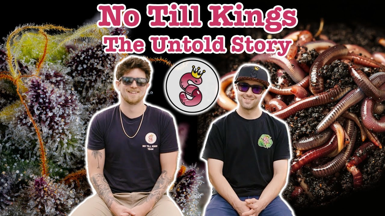 No Till Kings - Нерассказанная история (документальный фильм)