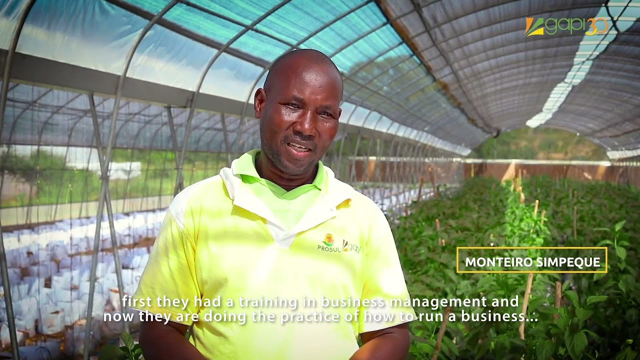 Juve-Inova - Agriculture into Agribusiness - Gapi, with Monteiro Simpeque - EN