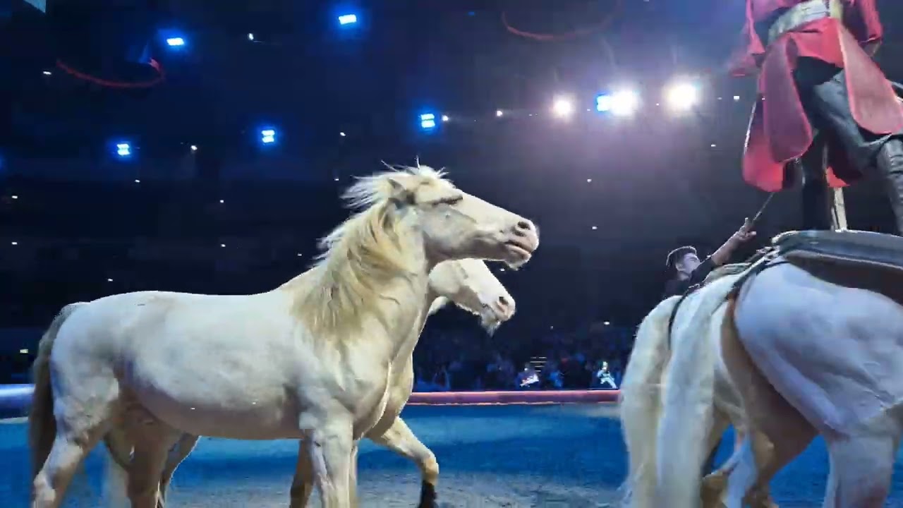 Highlights Cavalluna - 1. Reihe