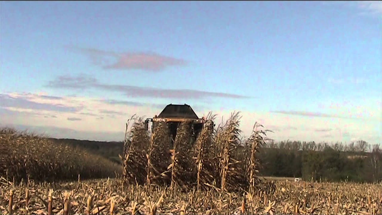 New holland cx 8050 in corn harvest