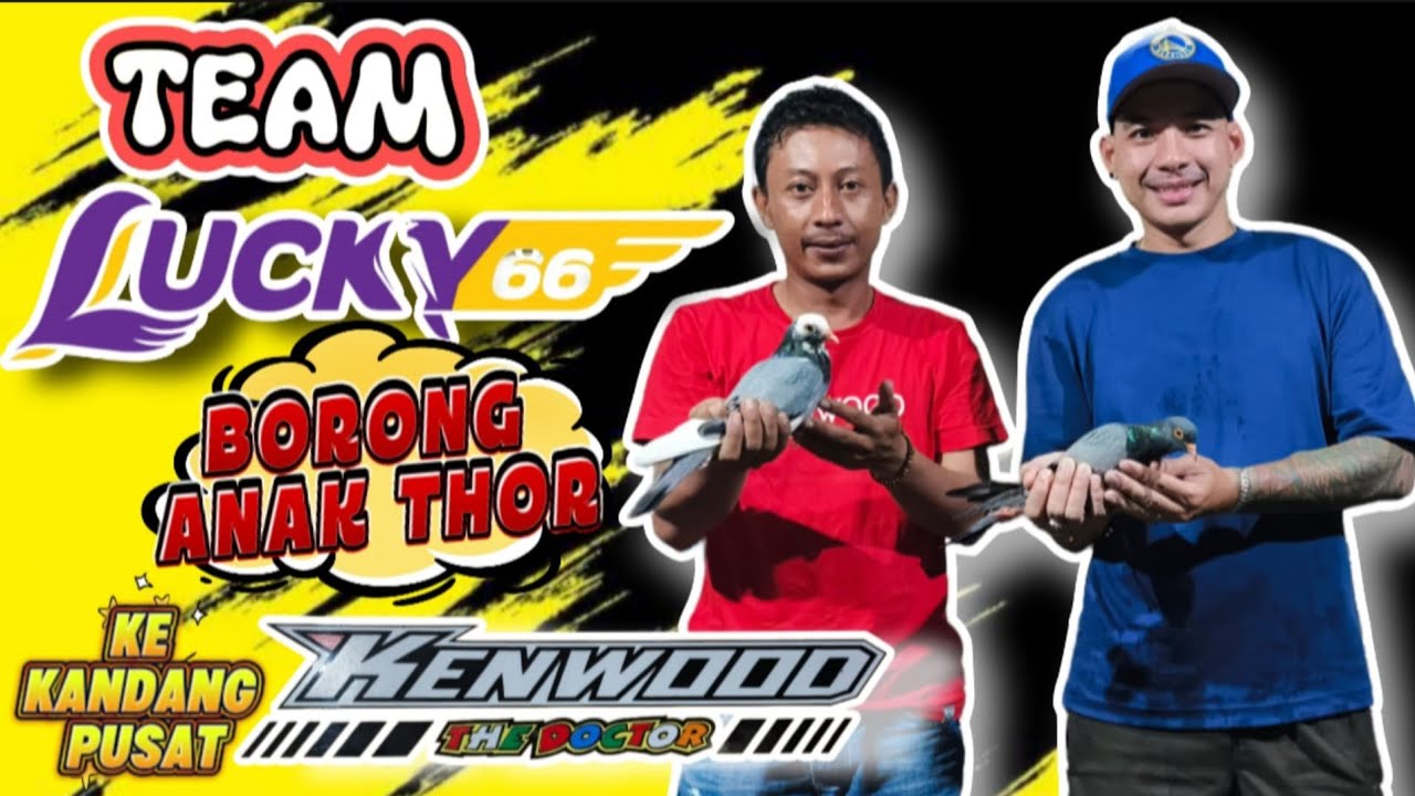 MEGA TRANSFER || TEAM LUCKY 66 TANGERANG BORONG ANAK THOR KE KANDANG PUSAT KENWOOD
