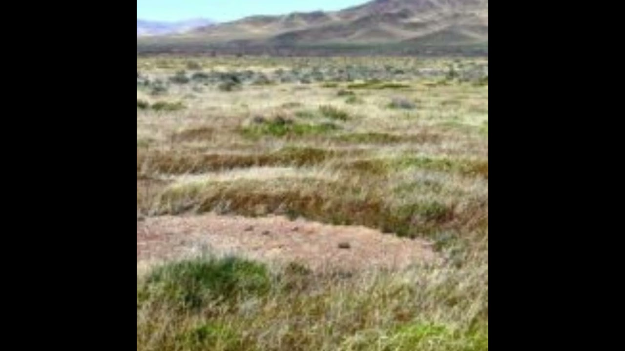 Nevada Hwy 789 Frontage  Development Potential Possible Mobile HomeRV Park Mountain Views