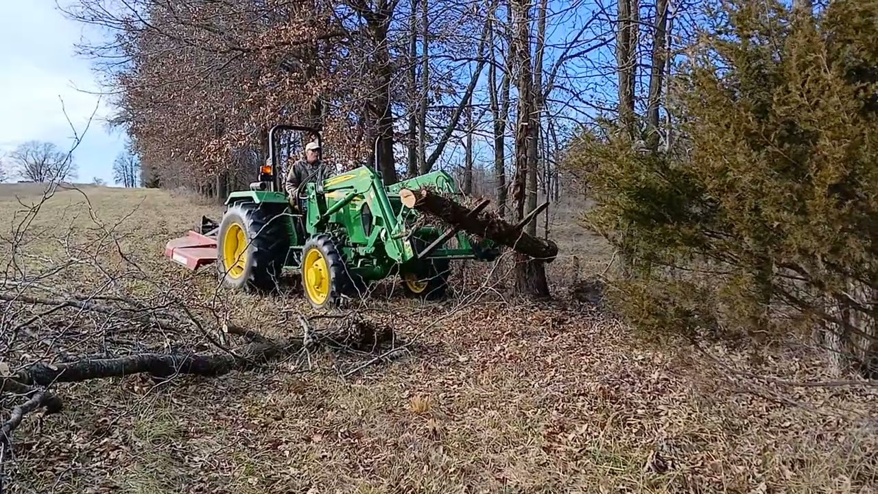 Tractor & Honey Locust I