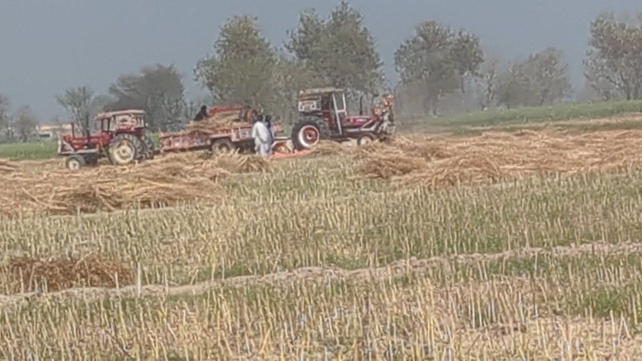 ٹریکٹر تھریشر اور مزدور 