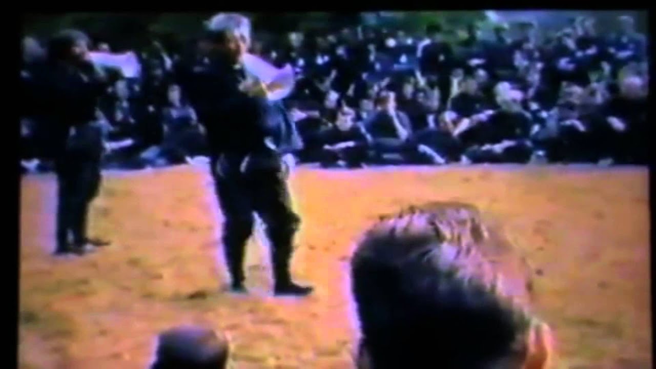 Bujinkan Dojo Basic Punch and Kick