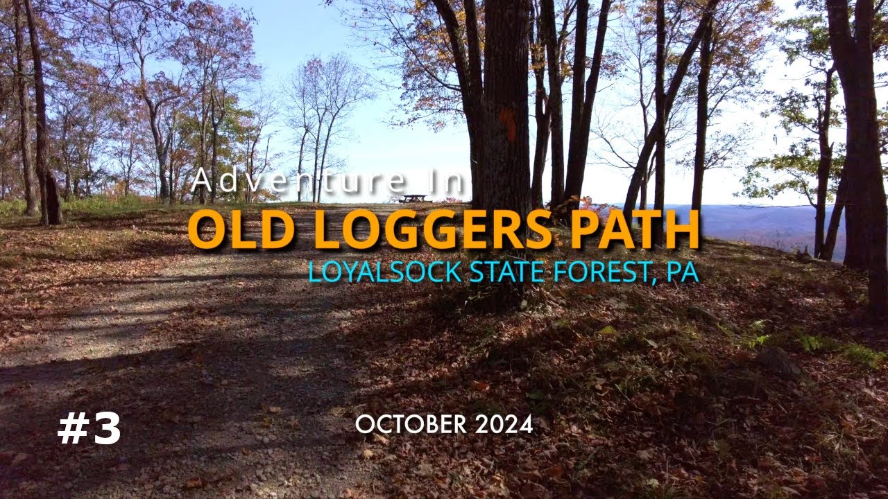 Day 3 - The Old Loggers Path - Loyalsock State Forest - PA