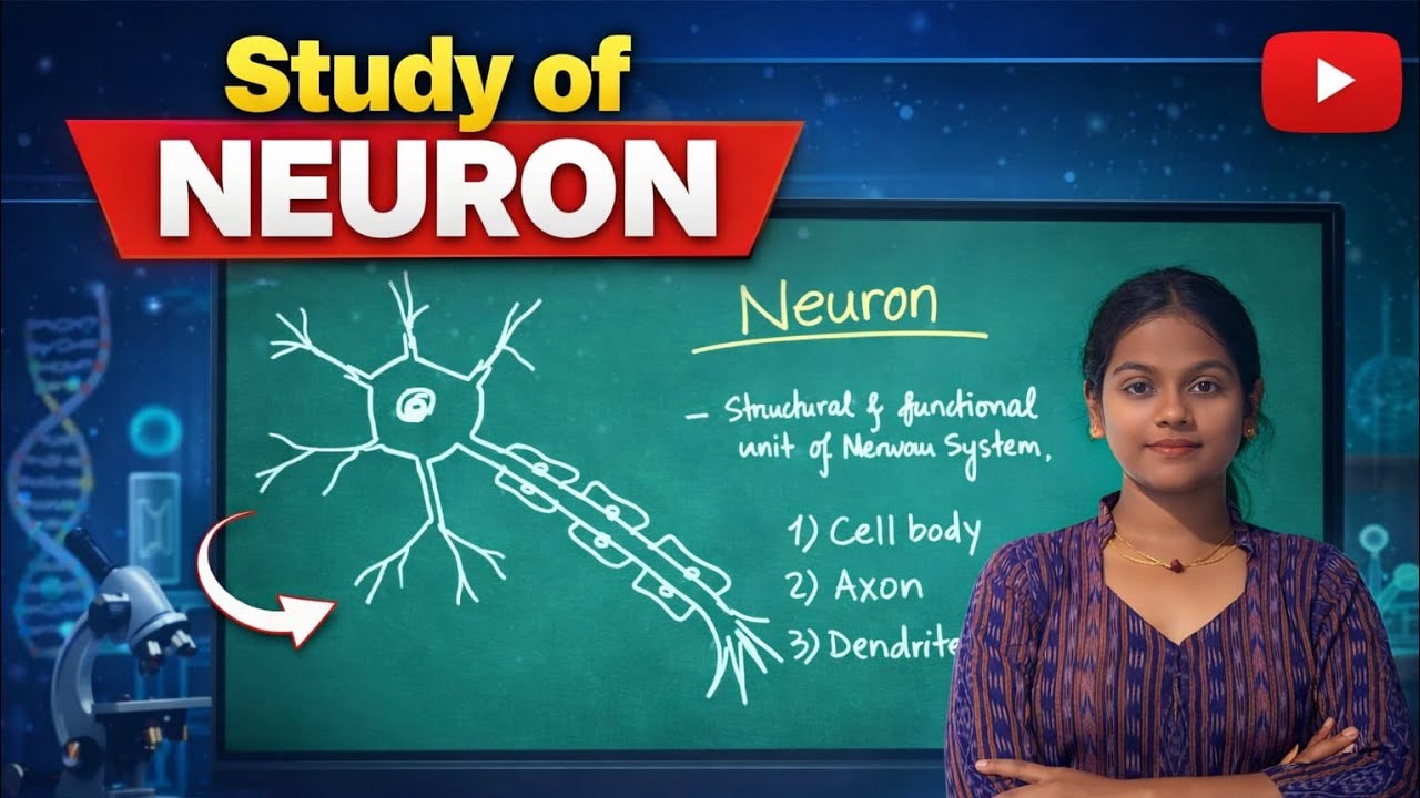 Study of Neuron #biology #psychology #exampreparation #study #viral 