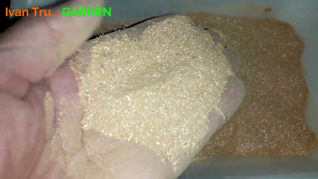 Como Aportar Nitrógeno, Potasio, Calcio, Fósforo Y Magnesio A Tus Plantas - Potente Fertilizante