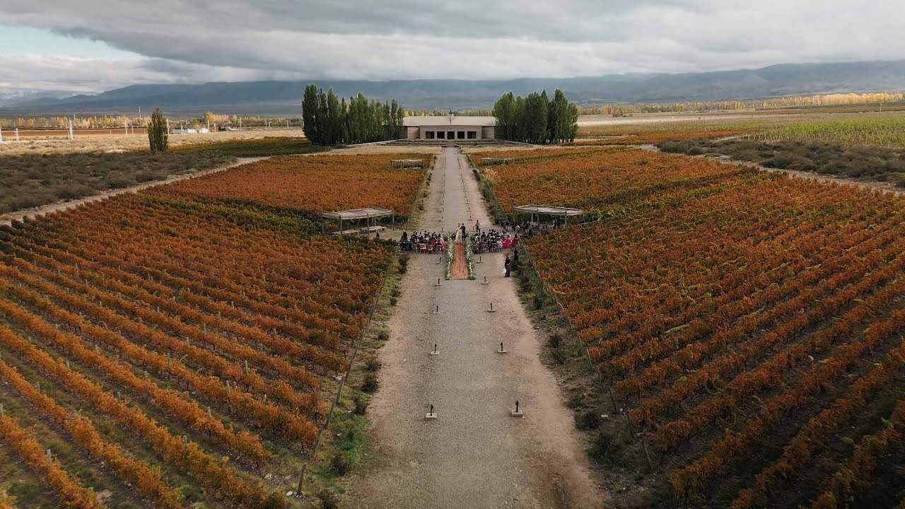 Hellen e Bruno - Wedding Film // Mendoza Experience