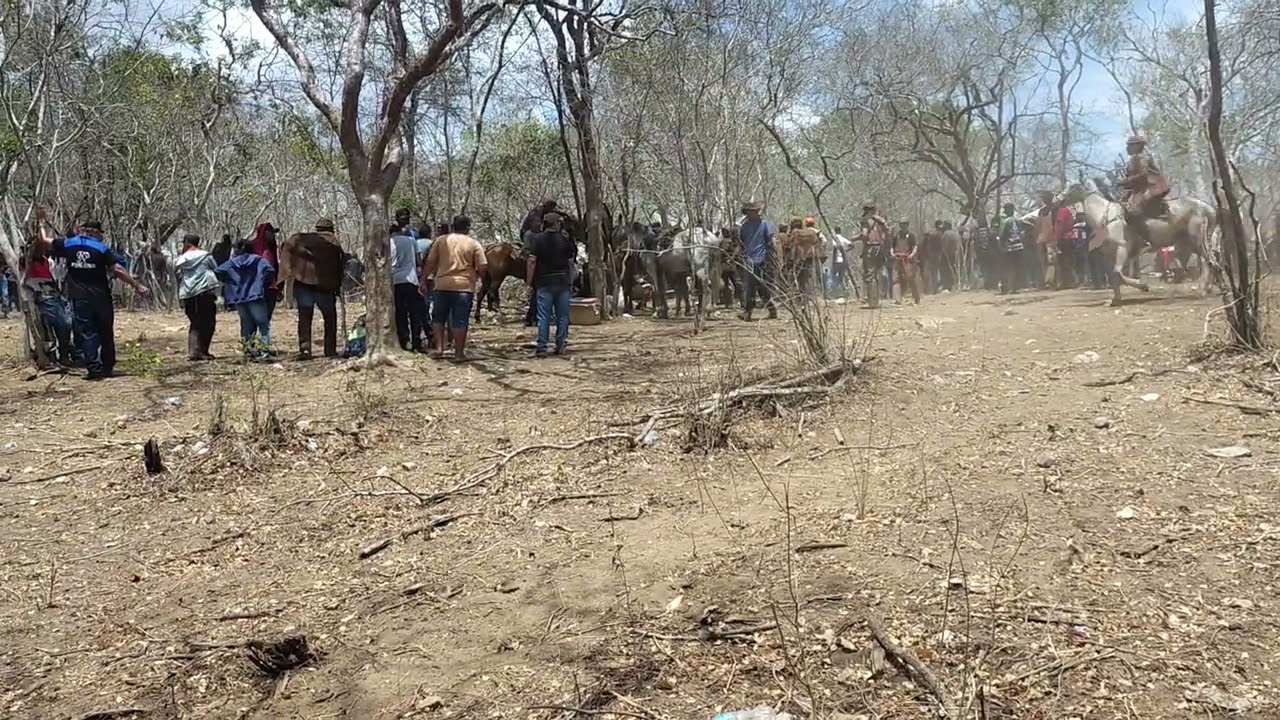 7 de janeiro de 2026