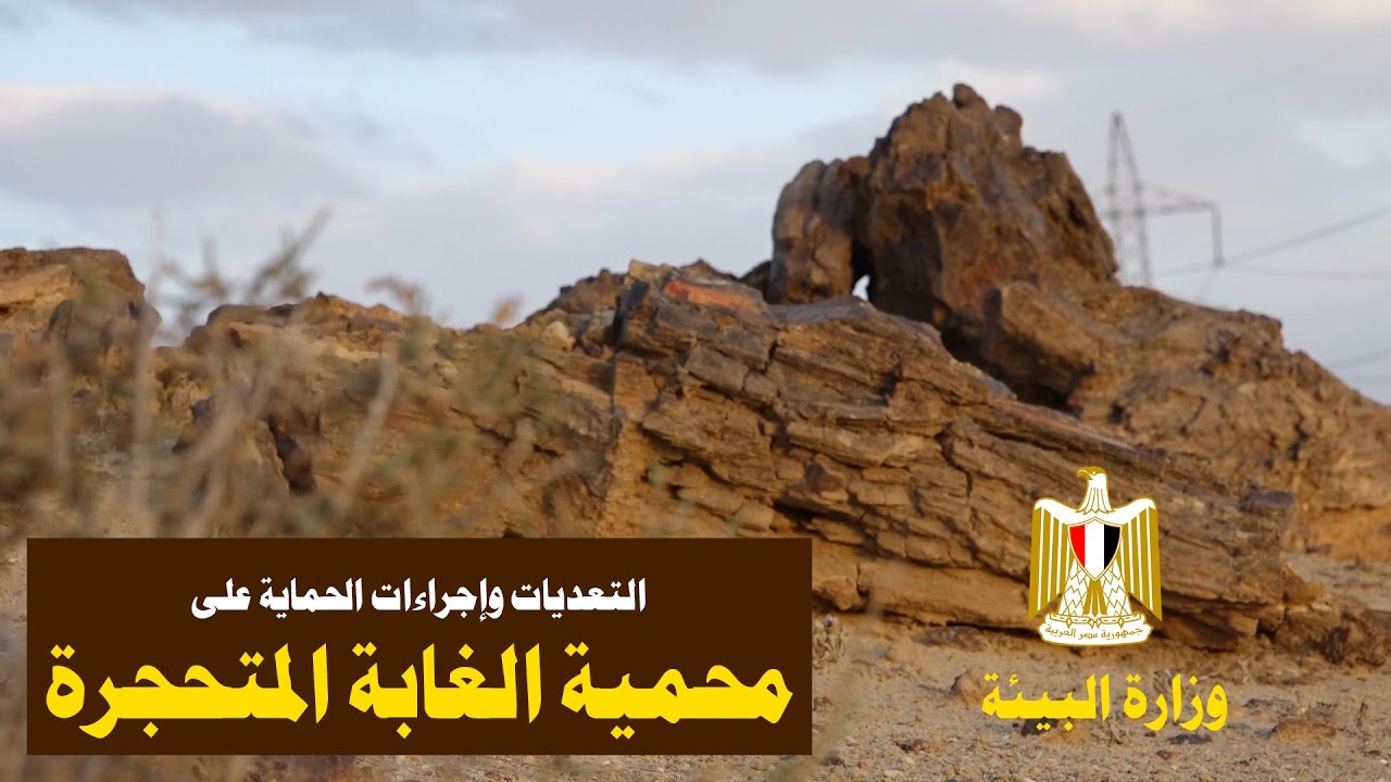 #وزارة_البيئة | التعديات وإجراءات الحماية على محمية الغابة المتحجرة