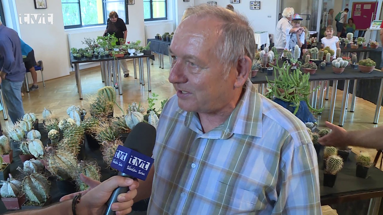 Výstava kaktusov, sukulentov a bonsajov vo Vrútkach