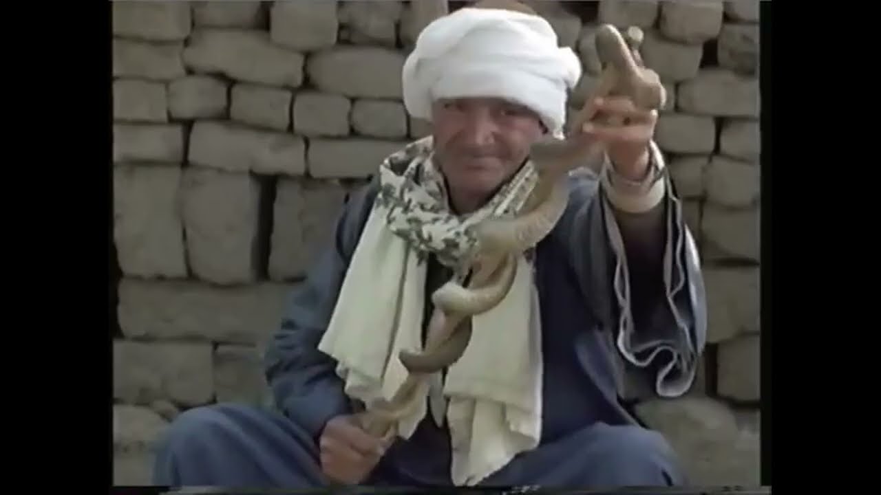 The Snake Trick from the Bible Demonstrated