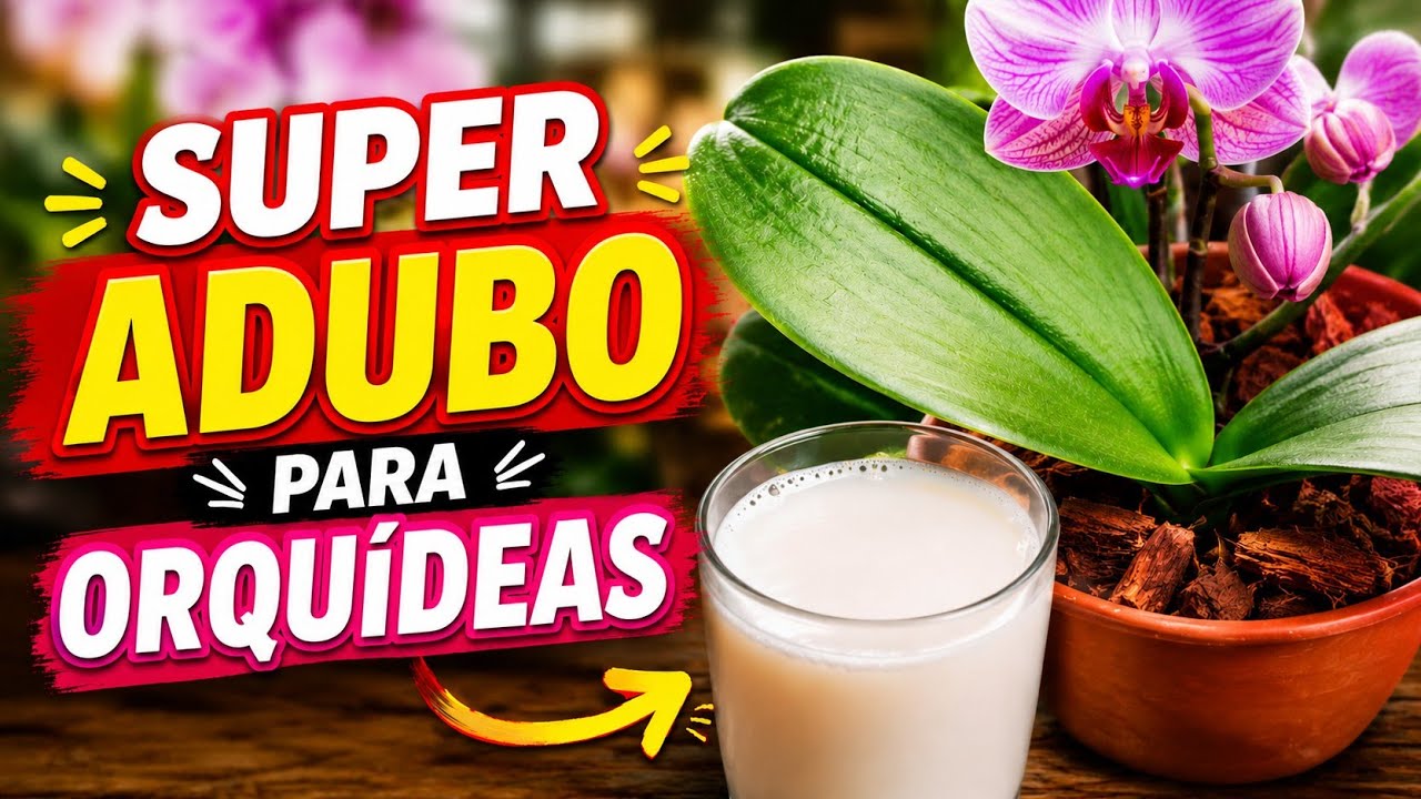 САМОДЕЛЬНОЕ УДОБРЕНИЕ ДЛЯ ОРХИДЕЙ!!! ОРХИДИ ЦВЕТУТ БОЛЬШЕ 😃😃🌷🌹🌷💐
