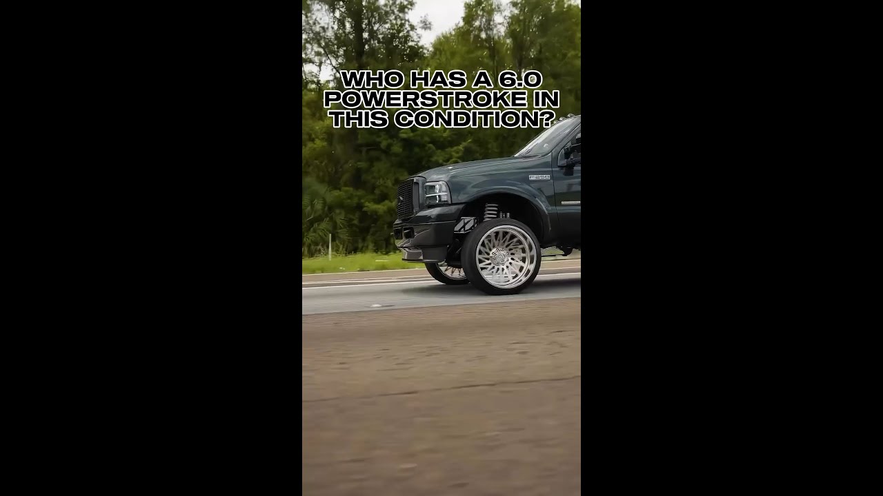 The Cleanest Ford F250 6.0 Powerstroke You Will Ever Find! #powerstroke #dieseltrucks #diese #shorts