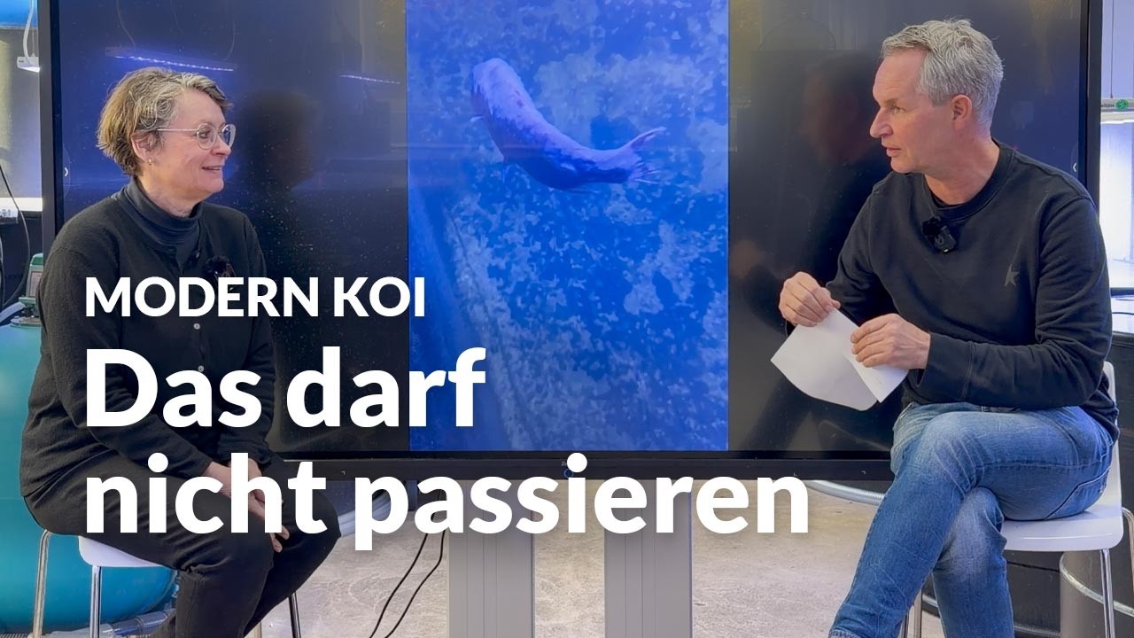 So verhinderst du Technik-Unfälle bei Tosai | Modern Koi Blog #7966
