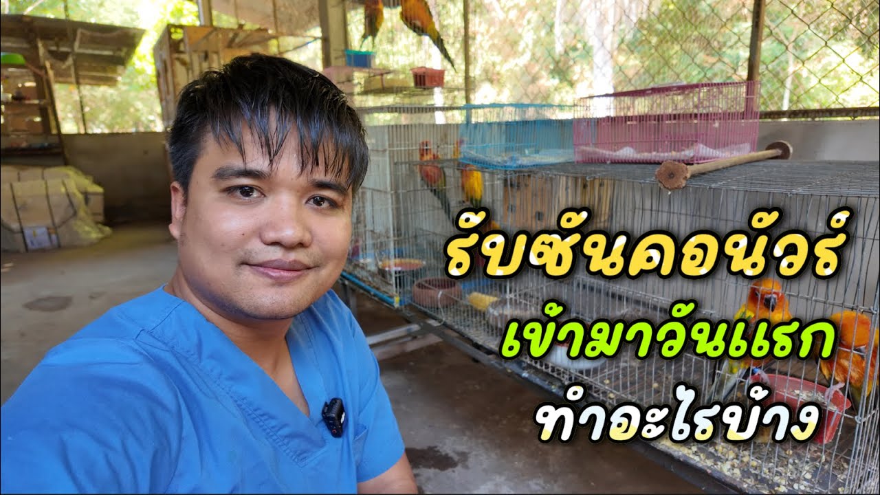รับพ่อ-เเม่พันธุ์นกแก้ว ซันคอนัวร์มาวันเเรก ต้องจัดการยังไง