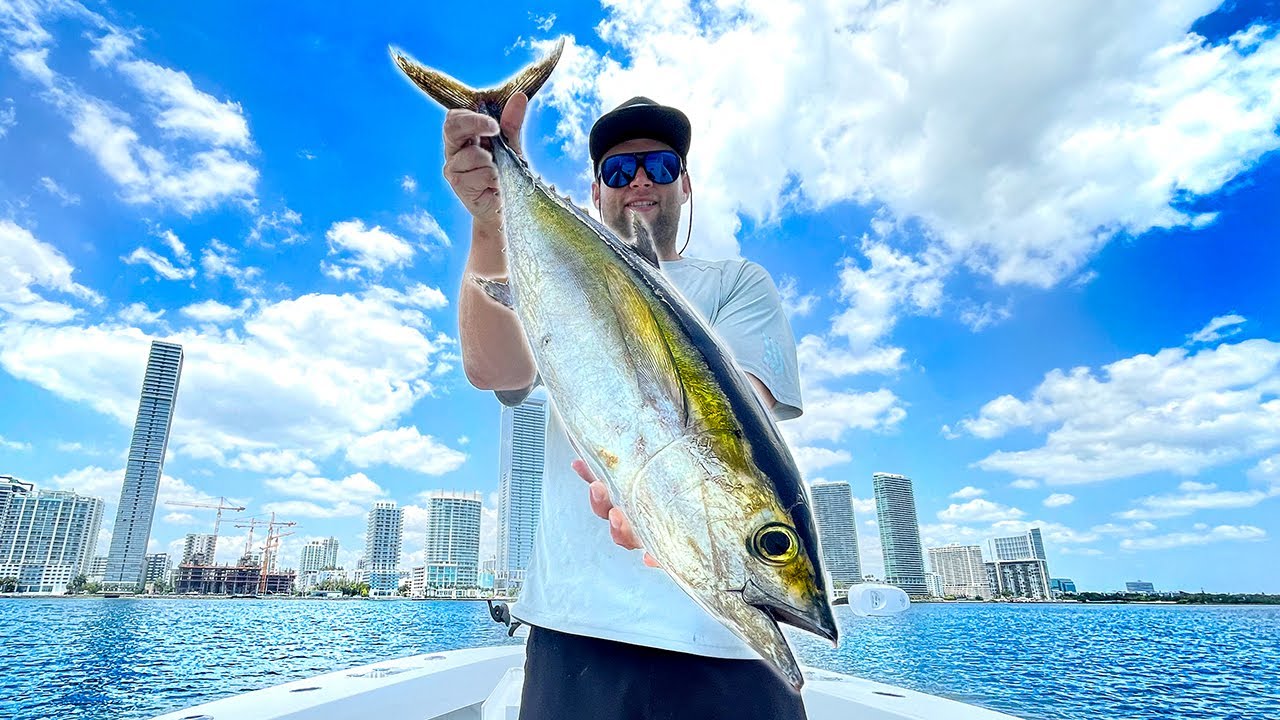 Catching Tuna 5 Miles from Downtown Miami | Catch N cook