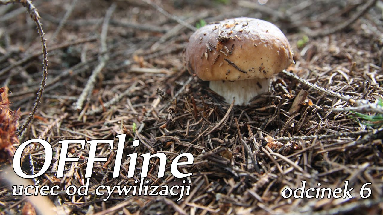Dziwne grzyby. Odcinek 6 - OFFline: uciec od cywilizacji