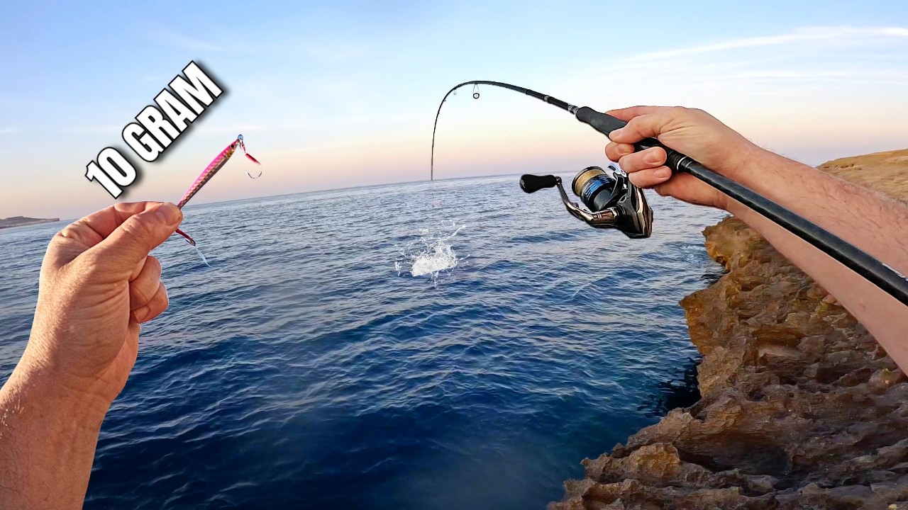 MICRO JIGGING IN DEEP WATER - PELAGIC BONANZA!