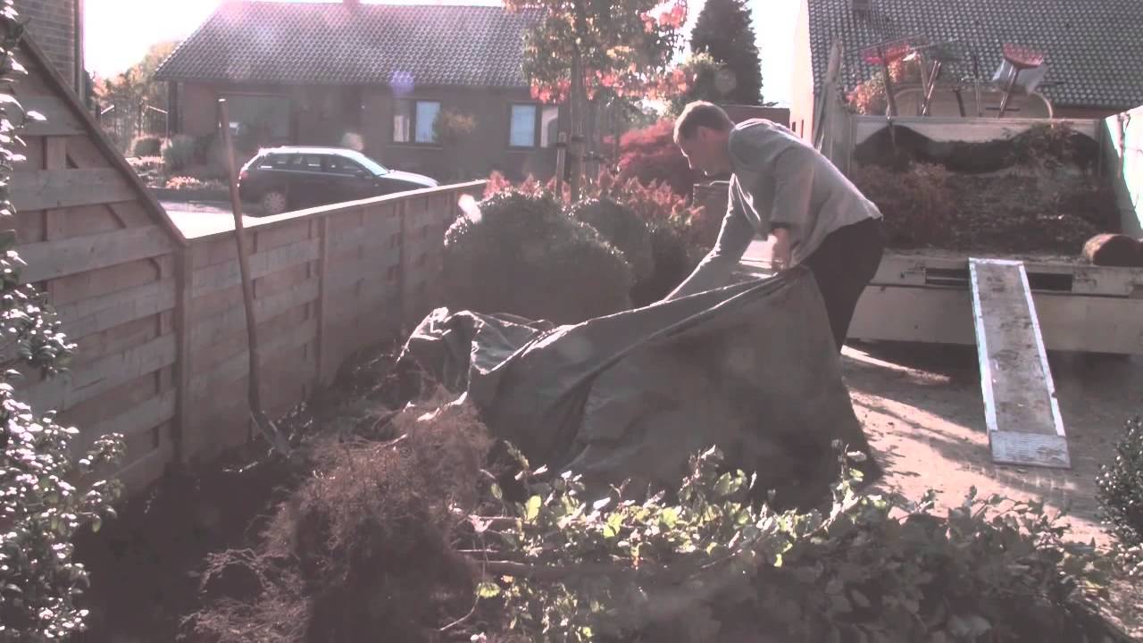 Houtmeyers Planten van een haag