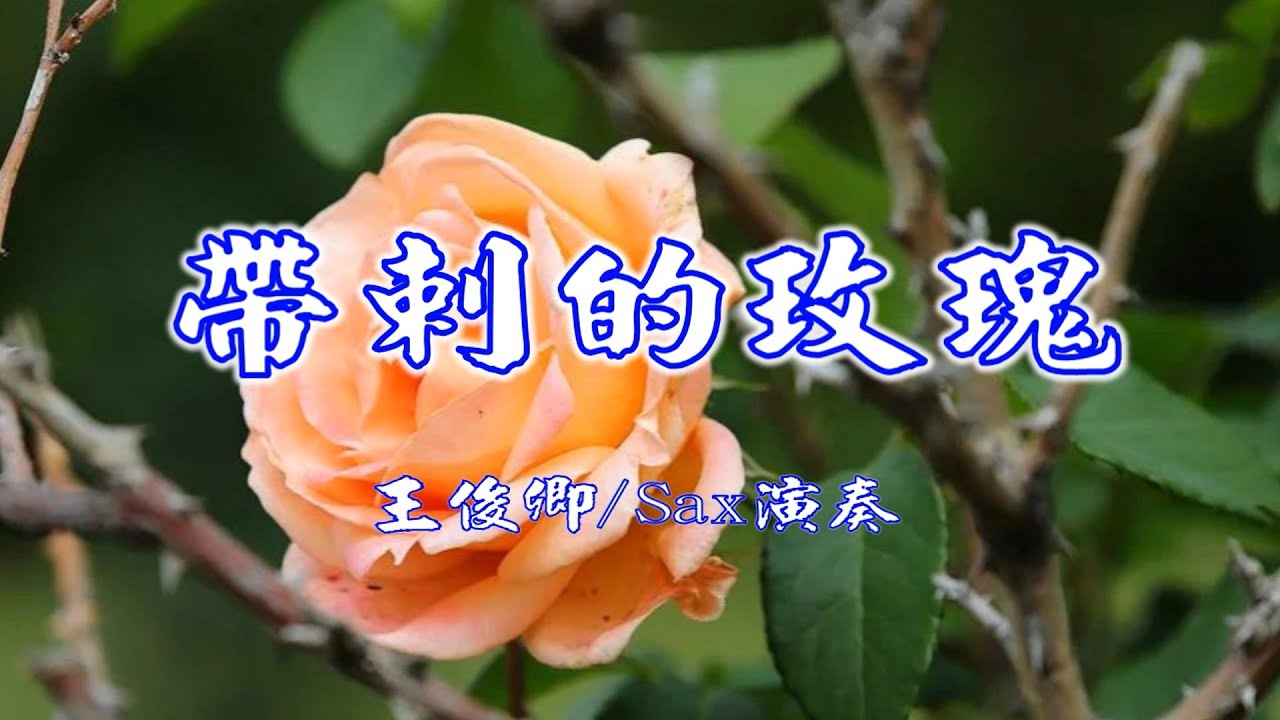 帶刺的玫瑰(蘇路)/Alto Sax/俊卿 薩克斯風演奏