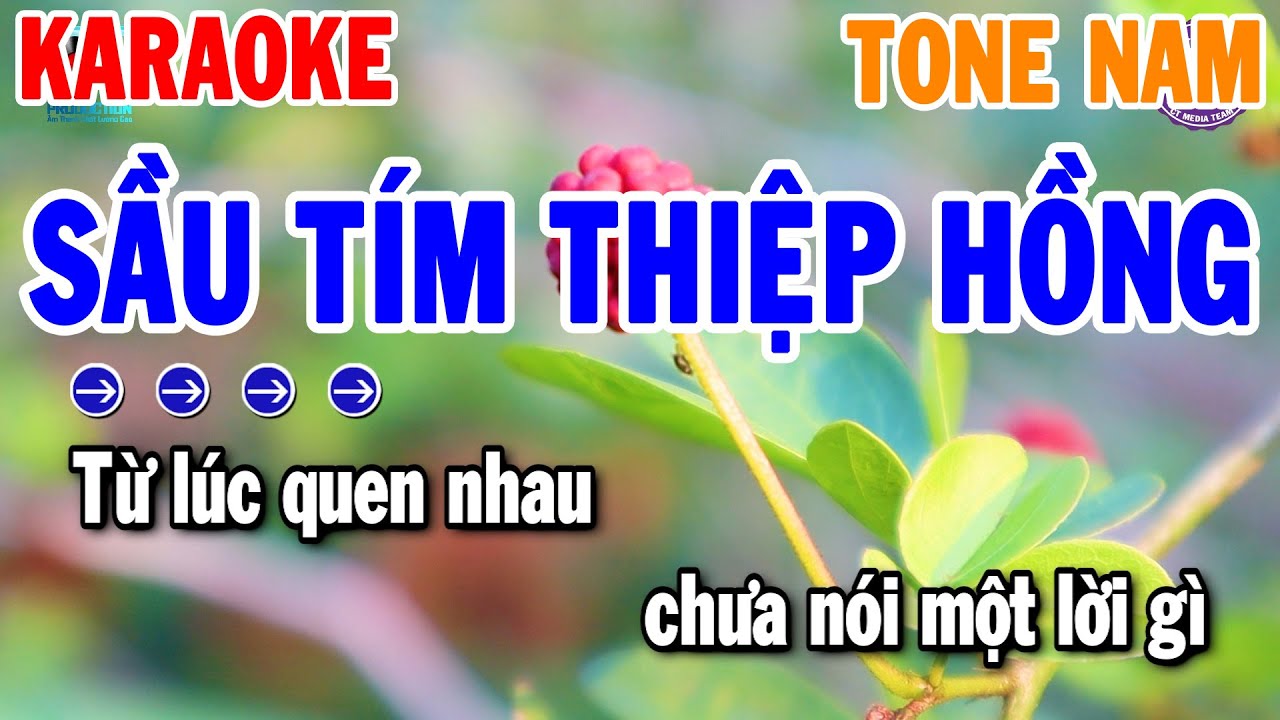 Sầu Tím Thiệp Hồng Karaoke Tone Nam ( Dm ) Nhạc Sống Bolero 2024 | Thanh Hải Organ
