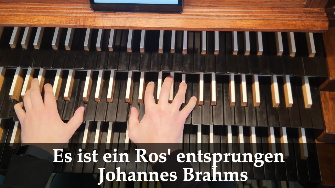 Es ist ein Ros' entsprungen, Op. 122 No. 8 (Johannes Brahms)