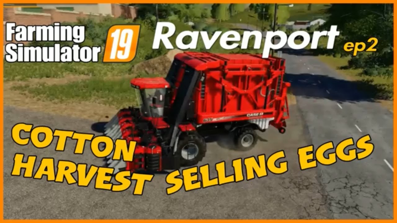 Farming simulator 19 Ravenport cotton harvest & selling eggs fs19 cotton