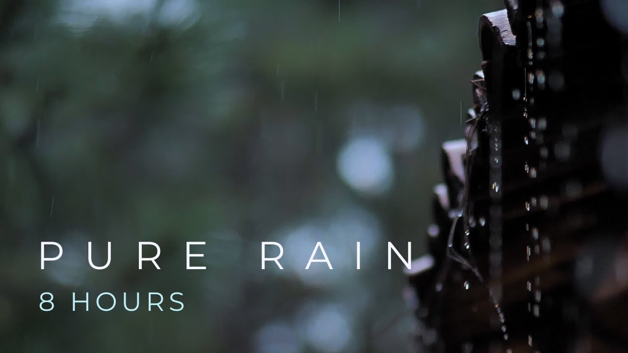 PURE RAIN: Soothing Rain on Roof & Window Sounds for Deep Sleep (8 Hours)