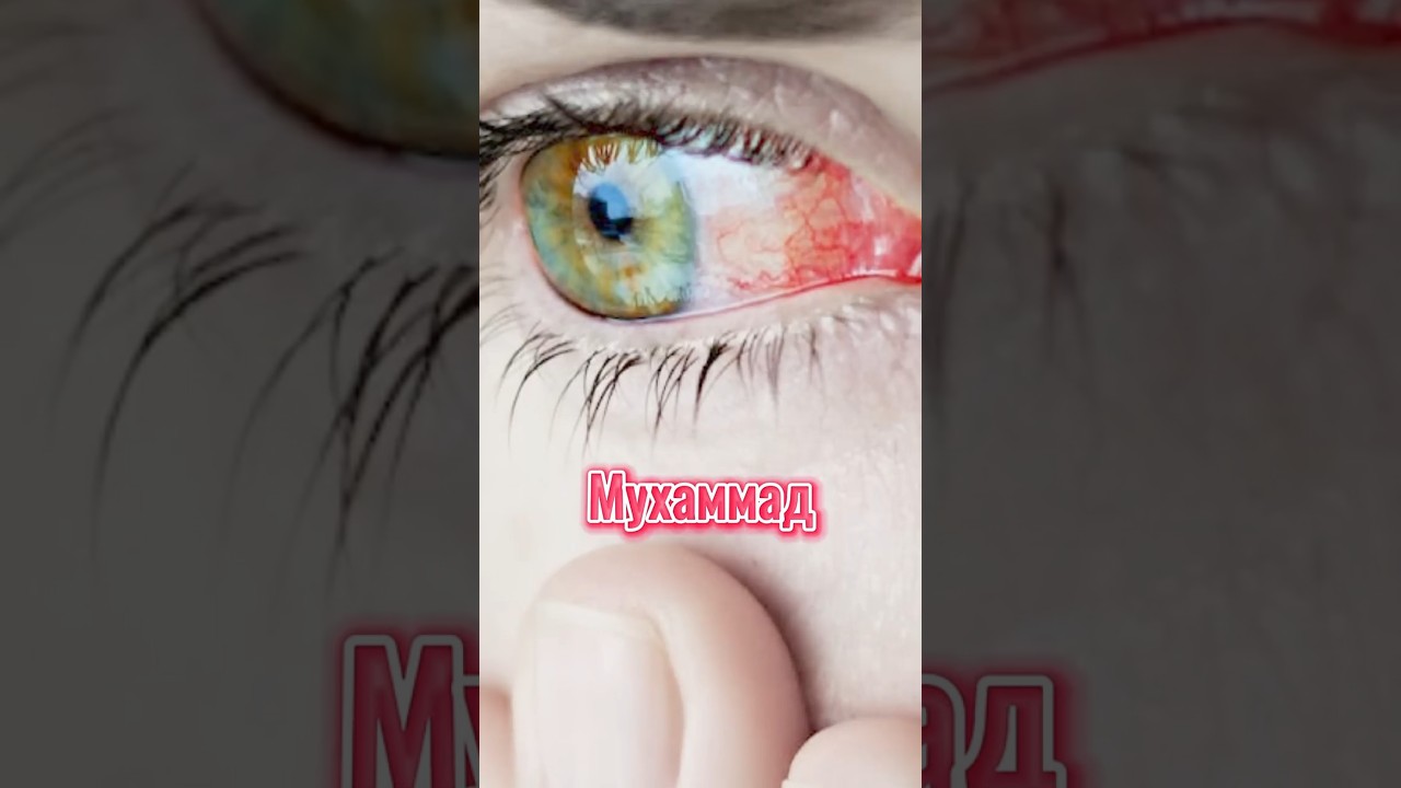 Чудо трюфеля: пророческое лечение для зрения#трюфел#сунна #исламскоелечение