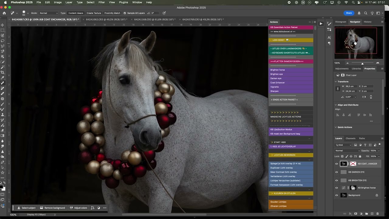 KB Basic photoshop actions voor paardenfotografie