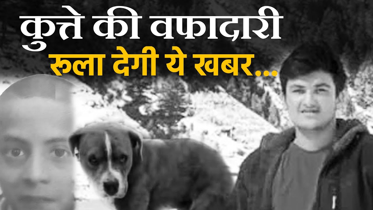 Chamba : कुत्ते की वफादारी रूला देगी .... नहीं छोड़ा मालिक का साथ | bharattalktimes
