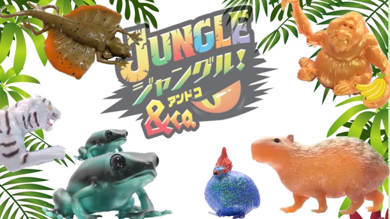 （ジャングル&co. ）発売後紹介！