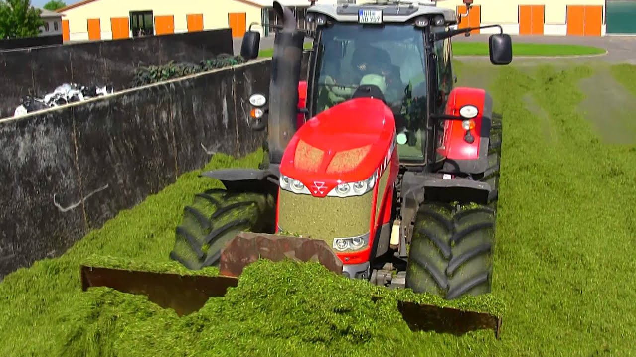 1. Schnitt mit Massey Ferguson Teil II