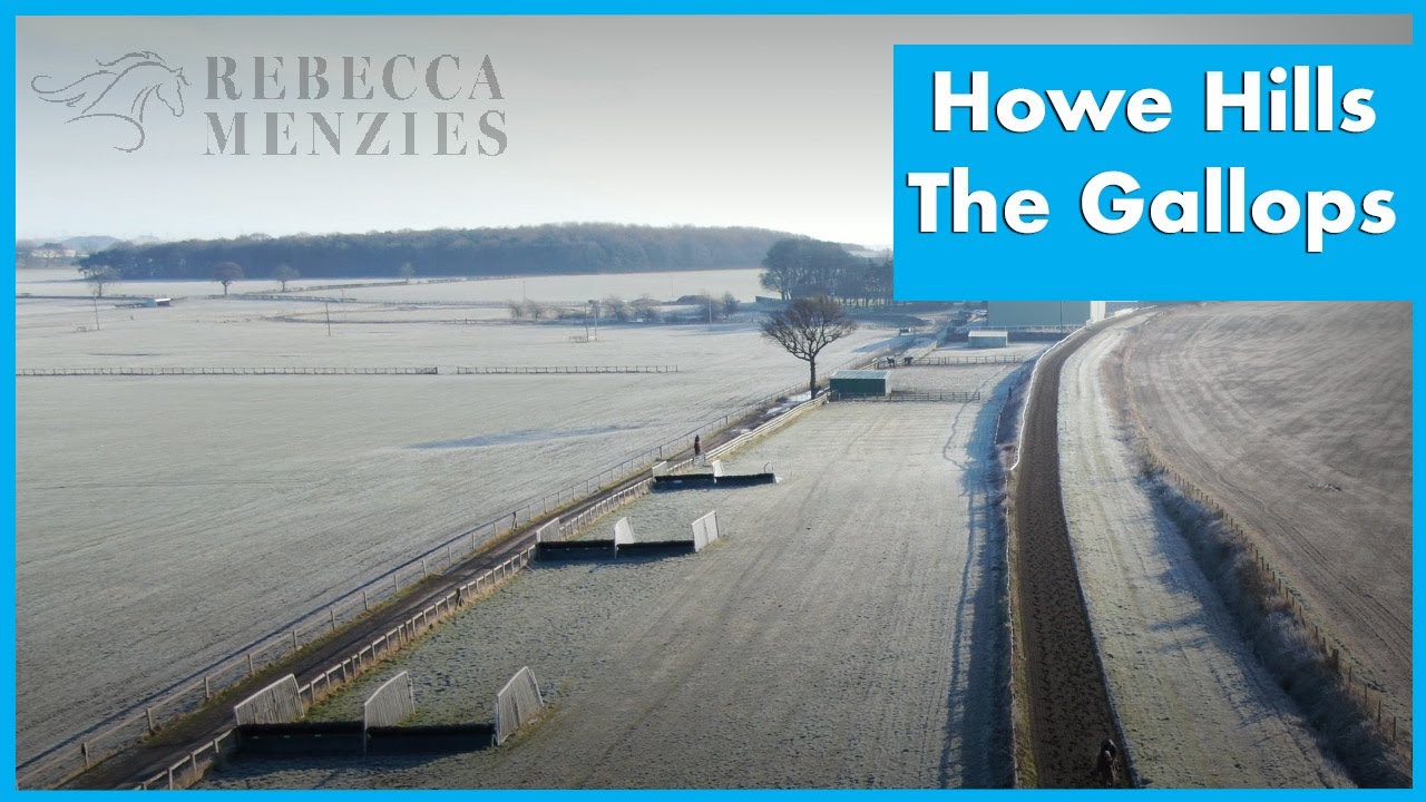 Howe Hills - The gallops