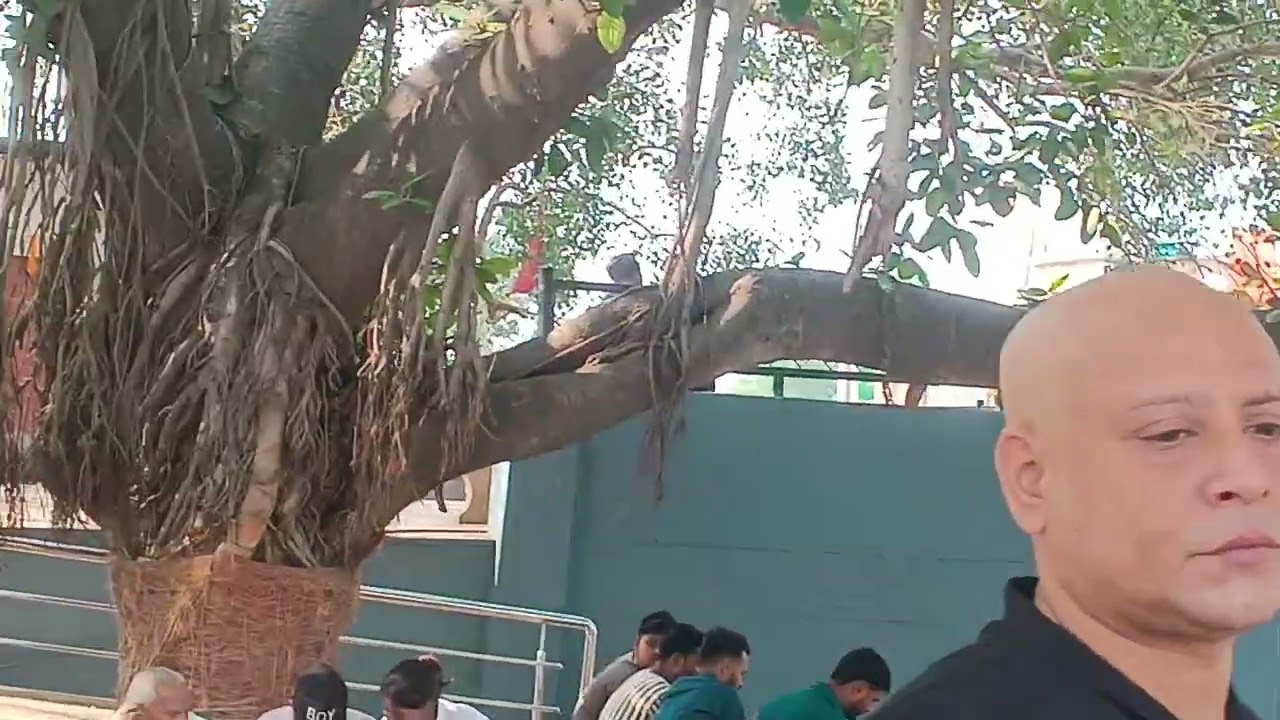 6 फ़रवरी 2026