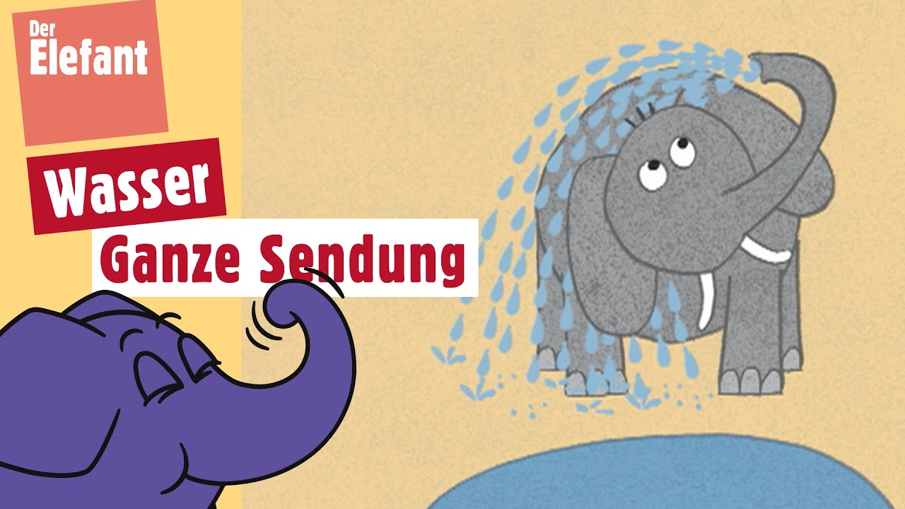 Warum gibt es an der Nordsee Ebbe und Flut? | Der Elefant | WDR