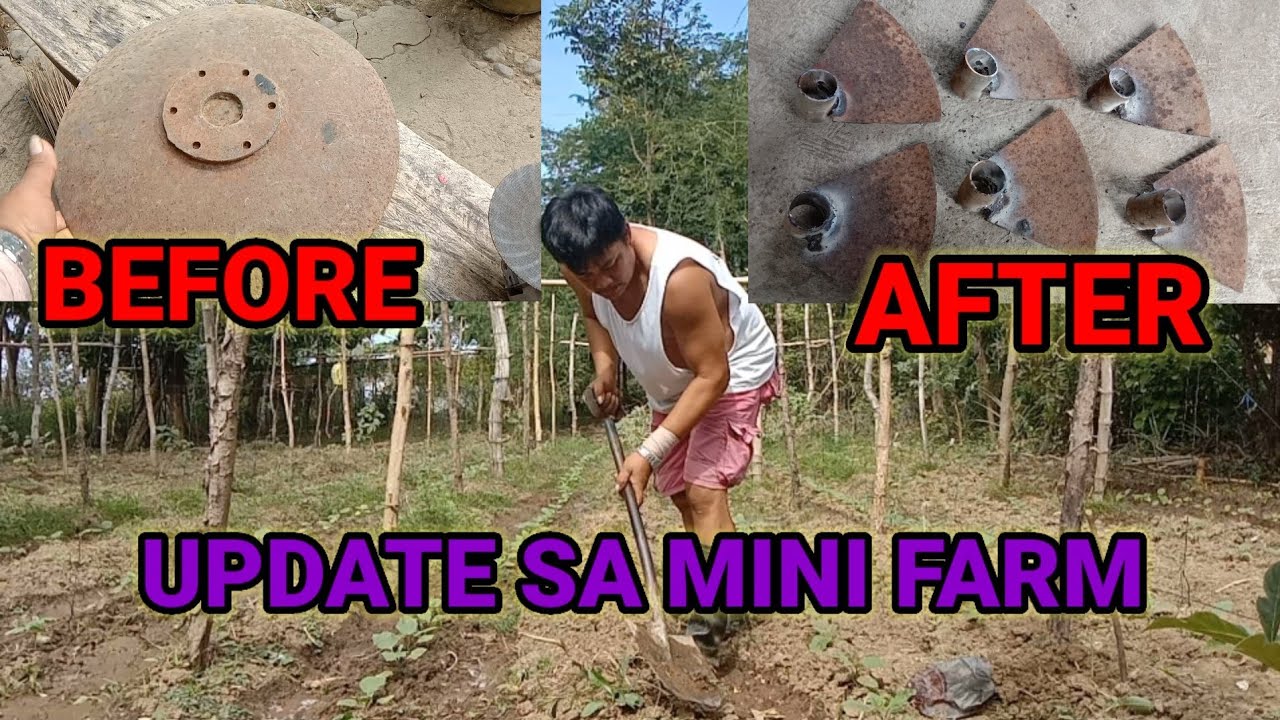 PAGGAWA NG ASAROL PARA SA MINI FARM