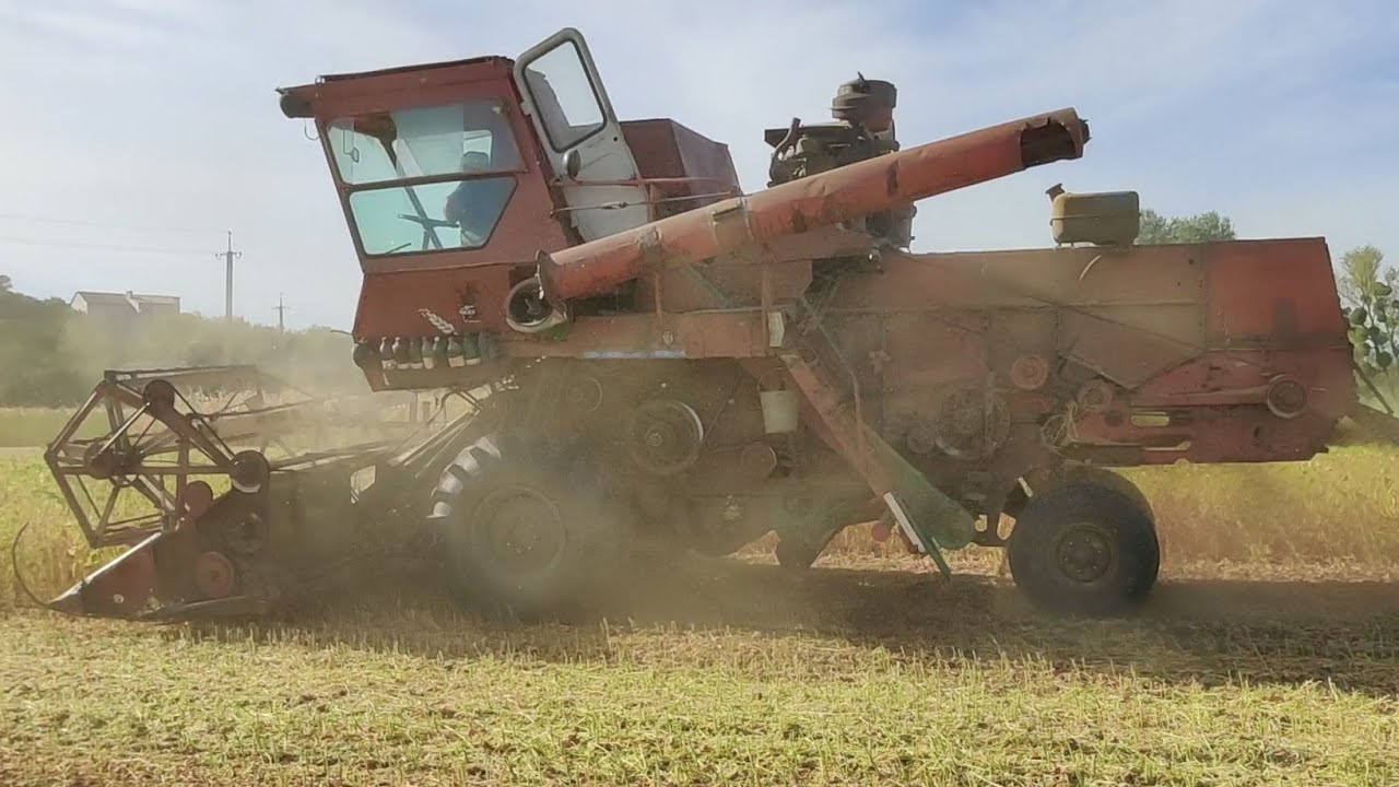 Harvesting Soybeans on a Small Farm